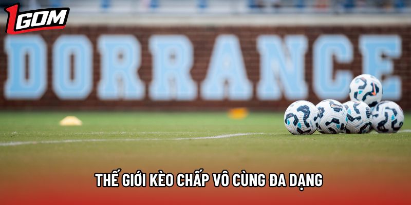 Thế giới kèo chấp vô cùng đa dạng Thế giới kèo chấp vô cùng đa dạng