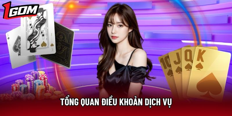 Tổng quan điều khoản dịch vụ Tổng quan điều khoản dịch vụ